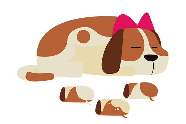 ALLATTAMENTO FINO 8^ SETTIMANA