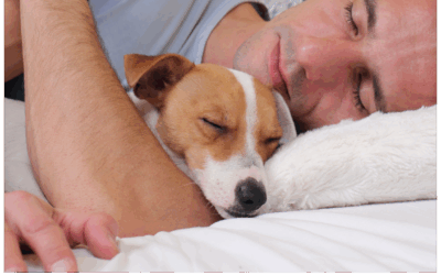 🐶 I 5 Dolcissimi Motivi Per Cui Il Tuo Cane Vuole Dormire Nel Tuo Letto
